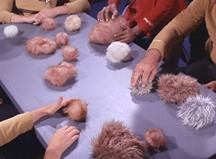 The Trouble with Tribbles The Trouble with Tribbles